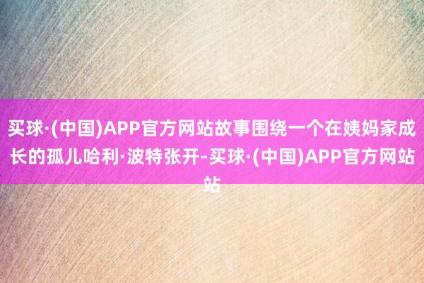 买球·(中国)APP官方网站故事围绕一个在姨妈家成长的孤儿哈利·波特张开-买球·(中国)APP官方网站