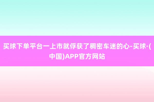 买球下单平台一上市就俘获了稠密车迷的心-买球·(中国)APP官方网站