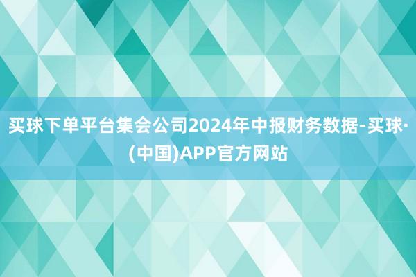 买球下单平台集会公司2024年中报财务数据-买球·(中国)APP官方网站