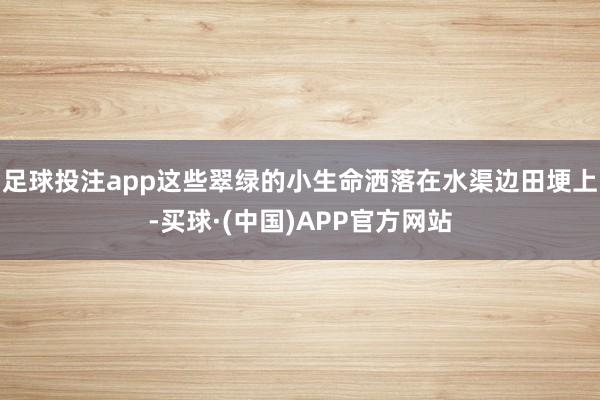足球投注app这些翠绿的小生命洒落在水渠边田埂上-买球·(中国)APP官方网站