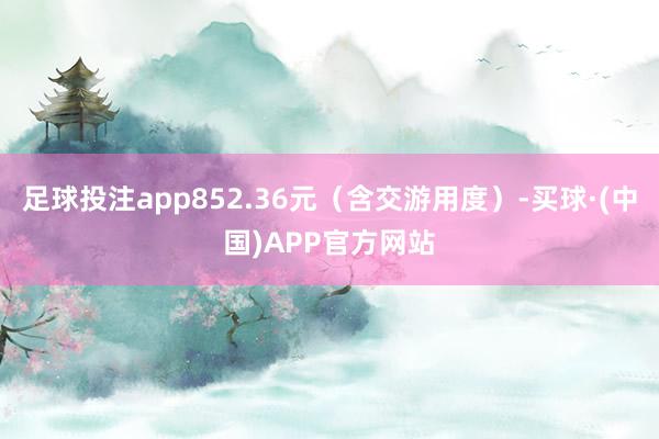 足球投注app852.36元（含交游用度）-买球·(中国)APP官方网站