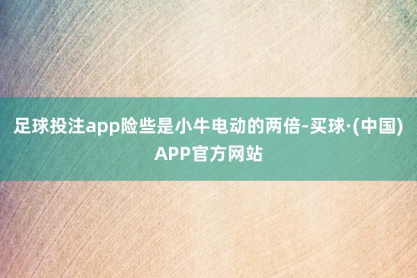 足球投注app险些是小牛电动的两倍-买球·(中国)APP官方网站
