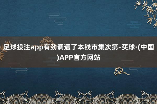 足球投注app有劲调遣了本钱市集次第-买球·(中国)APP官方网站