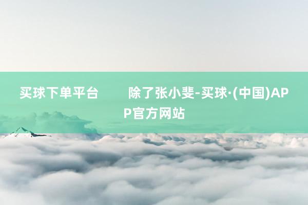 买球下单平台        除了张小斐-买球·(中国)APP官方网站