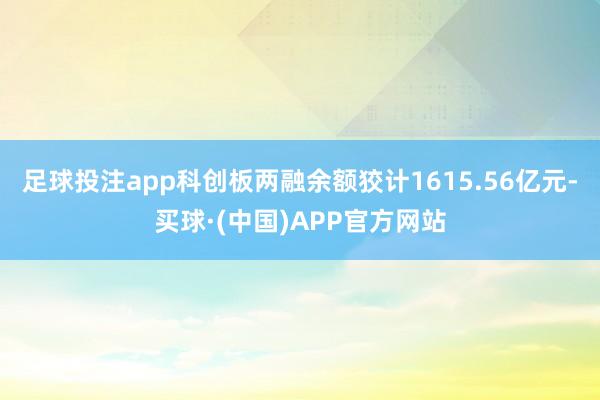 足球投注app科创板两融余额狡计1615.56亿元-买球·(中国)APP官方网站