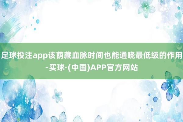 足球投注app该荫藏血脉时间也能通晓最低级的作用-买球·(中国)APP官方网站