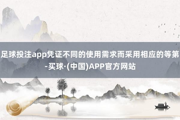 足球投注app凭证不同的使用需求而采用相应的等第-买球·(中国)APP官方网站