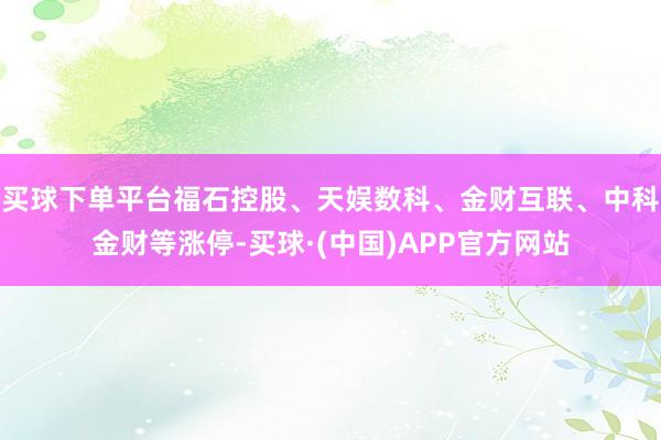 买球下单平台福石控股、天娱数科、金财互联、中科金财等涨停-买球·(中国)APP官方网站