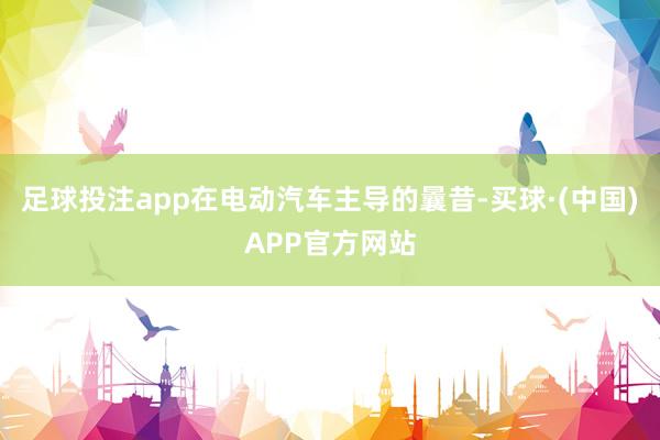 足球投注app在电动汽车主导的曩昔-买球·(中国)APP官方网站