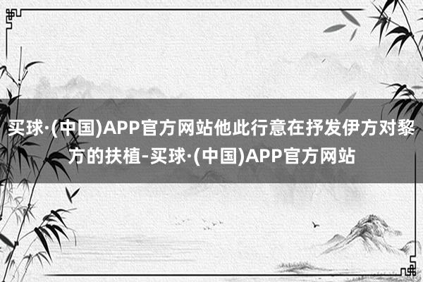买球·(中国)APP官方网站他此行意在抒发伊方对黎方的扶植-买球·(中国)APP官方网站