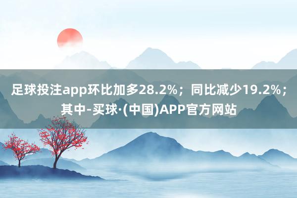 足球投注app环比加多28.2%；同比减少19.2%；其中-买球·(中国)APP官方网站