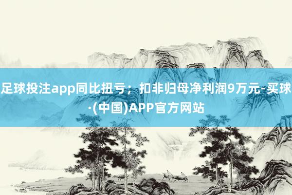 足球投注app同比扭亏；扣非归母净利润9万元-买球·(中国)APP官方网站