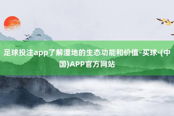 足球投注app了解湿地的生态功能和价值-买球·(中国)APP官方网站