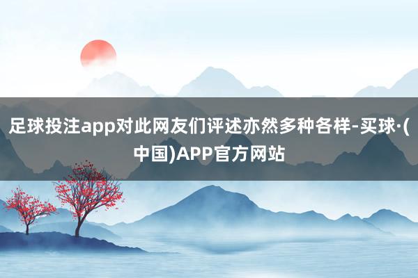 足球投注app对此网友们评述亦然多种各样-买球·(中国)APP官方网站