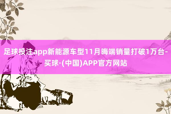 足球投注app新能源车型11月晦端销量打破1万台-买球·(中国)APP官方网站