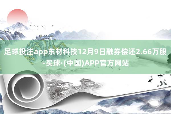 足球投注app东材科技12月9日融券偿还2.66万股-买球·(中国)APP官方网站
