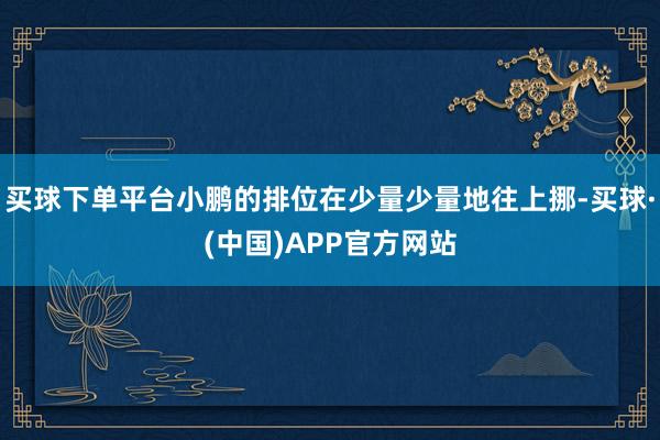 买球下单平台小鹏的排位在少量少量地往上挪-买球·(中国)APP官方网站