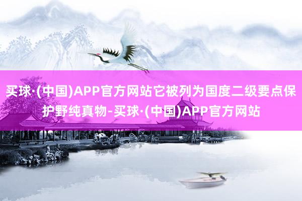 买球·(中国)APP官方网站它被列为国度二级要点保护野纯真物-买球·(中国)APP官方网站