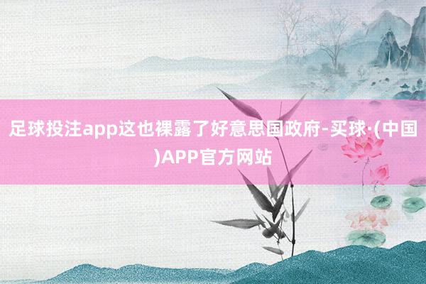足球投注app这也裸露了好意思国政府-买球·(中国)APP官方网站