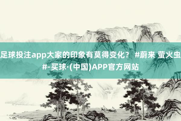 足球投注app大家的印象有莫得变化？ #蔚来 萤火虫#-买球·(中国)APP官方网站