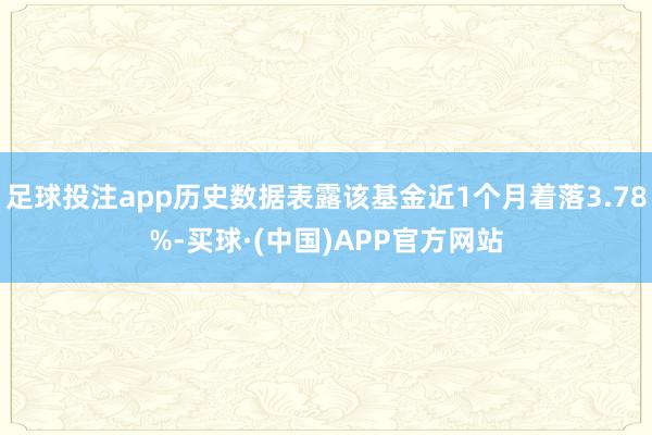 足球投注app历史数据表露该基金近1个月着落3.78%-买球·(中国)APP官方网站