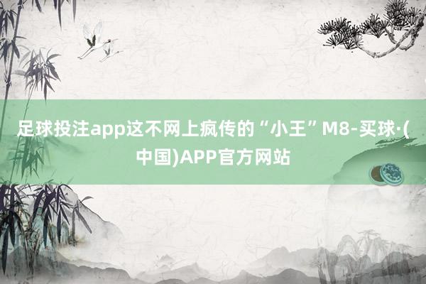 足球投注app这不网上疯传的“小王”M8-买球·(中国)APP官方网站