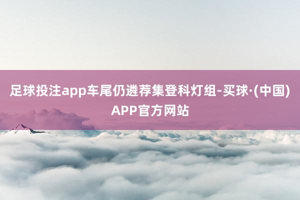 足球投注app车尾仍遴荐集登科灯组-买球·(中国)APP官方网站