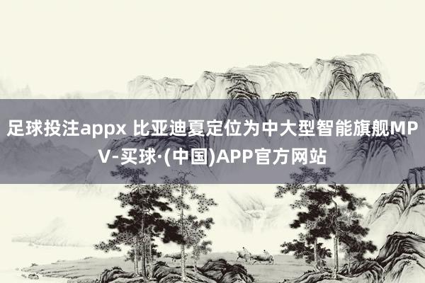 足球投注appx 比亚迪夏定位为中大型智能旗舰MPV-买球·(中国)APP官方网站