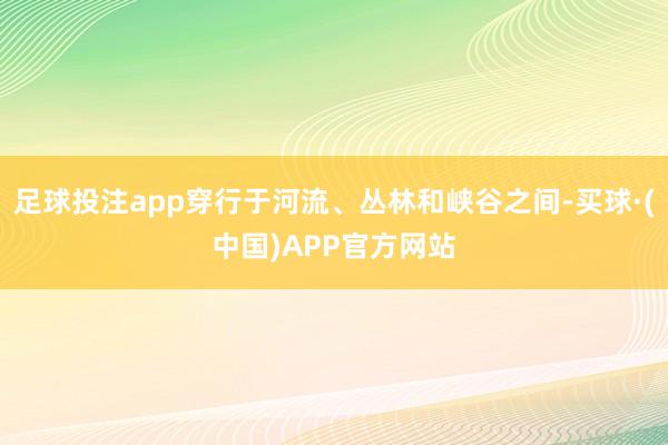 足球投注app穿行于河流、丛林和峡谷之间-买球·(中国)APP官方网站