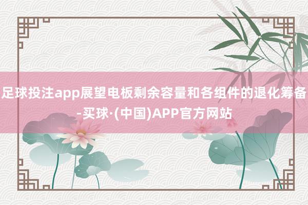 足球投注app展望电板剩余容量和各组件的退化筹备-买球·(中国)APP官方网站