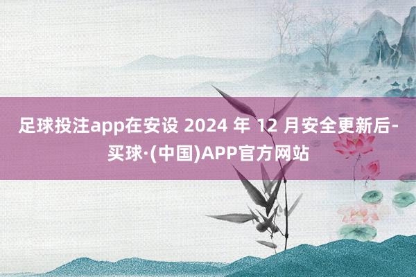 足球投注app在安设 2024 年 12 月安全更新后-买球·(中国)APP官方网站