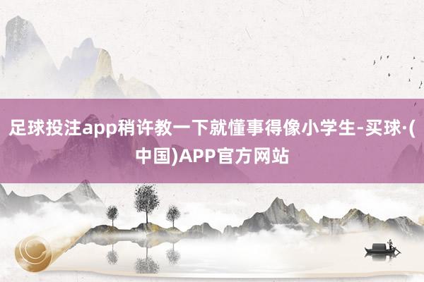 足球投注app稍许教一下就懂事得像小学生-买球·(中国)APP官方网站