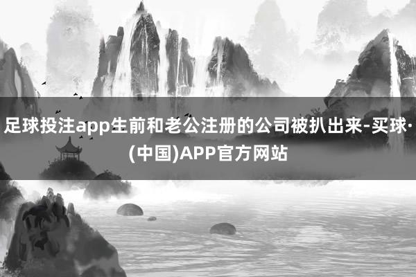 足球投注app生前和老公注册的公司被扒出来-买球·(中国)APP官方网站