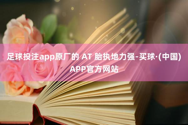 足球投注app原厂的 AT 胎执地力强-买球·(中国)APP官方网站