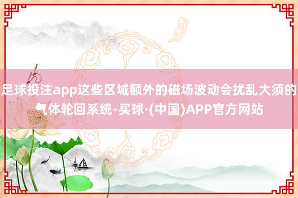 足球投注app这些区域额外的磁场波动会扰乱大须的气体轮回系统-买球·(中国)APP官方网站