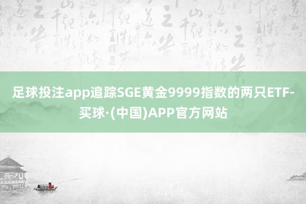 足球投注app追踪SGE黄金9999指数的两只ETF-买球·(中国)APP官方网站