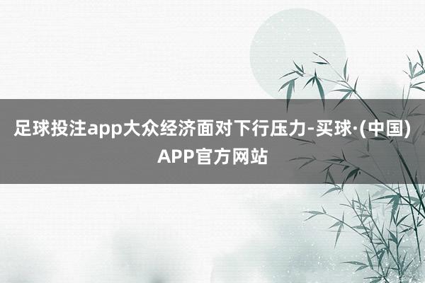足球投注app大众经济面对下行压力-买球·(中国)APP官方网站