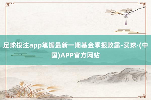 足球投注app笔据最新一期基金季报败露-买球·(中国)APP官方网站
