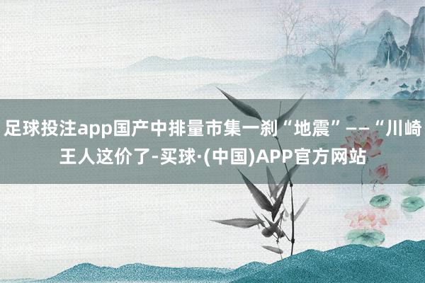 足球投注app国产中排量市集一刹“地震”——“川崎王人这价了-买球·(中国)APP官方网站