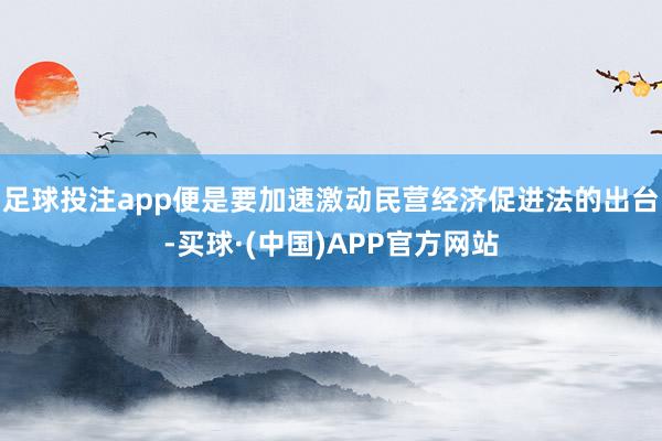 足球投注app便是要加速激动民营经济促进法的出台-买球·(中国)APP官方网站