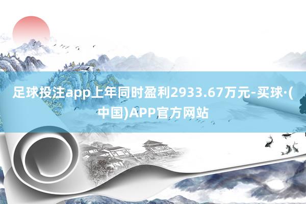 足球投注app上年同时盈利2933.67万元-买球·(中国)APP官方网站