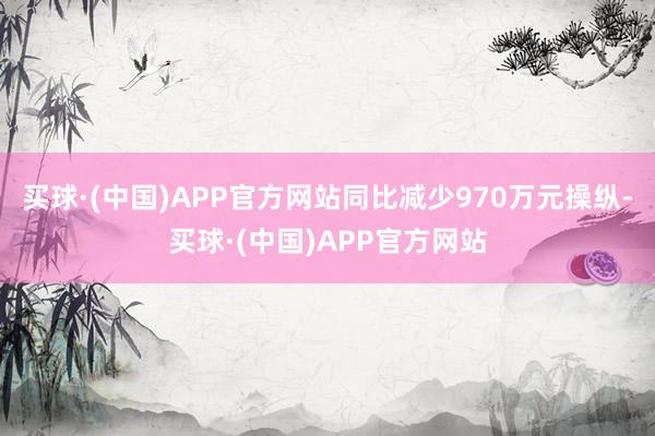 买球·(中国)APP官方网站同比减少970万元操纵-买球·(中国)APP官方网站