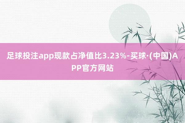 足球投注app现款占净值比3.23%-买球·(中国)APP官方网站