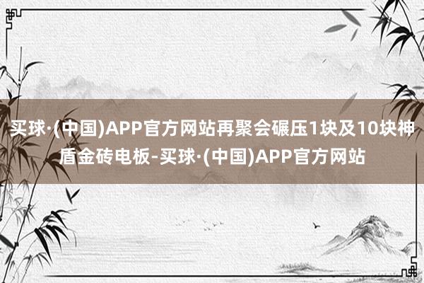 买球·(中国)APP官方网站再聚会碾压1块及10块神盾金砖电板-买球·(中国)APP官方网站