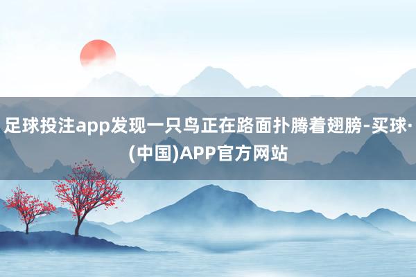 足球投注app发现一只鸟正在路面扑腾着翅膀-买球·(中国)APP官方网站
