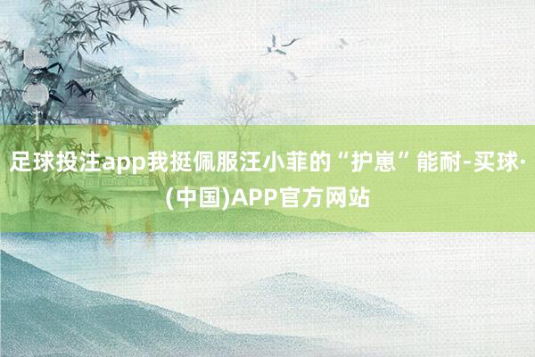 足球投注app我挺佩服汪小菲的“护崽”能耐-买球·(中国)APP官方网站