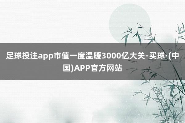 足球投注app市值一度温暖3000亿大关-买球·(中国)APP官方网站