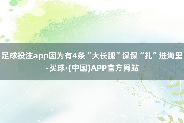 足球投注app因为有4条“大长腿”深深“扎”进海里-买球·(中国)APP官方网站
