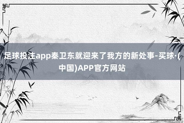 足球投注app秦卫东就迎来了我方的新处事-买球·(中国)APP官方网站