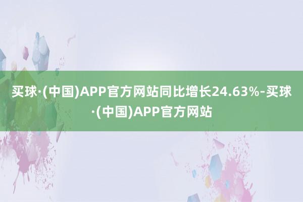 买球·(中国)APP官方网站同比增长24.63%-买球·(中国)APP官方网站